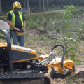 Enhance Your Property With Professional Stump Removal And Forestry Mulching Services