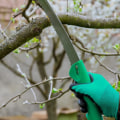 How A Tree Care Company Can Improve Your Property With Forestry Mulching In Damascus, Oregon?