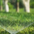 Sprinkler And Irrigation System Installation In Omaha: Enhancing Your Landscape With Forestry Mulching