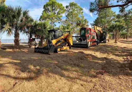 What Role Does Stump Grinding Services Play In Sustainable Forestry Mulching Practices In Portland