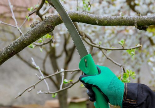 How A Tree Care Company Can Improve Your Property With Forestry Mulching In Damascus, Oregon?