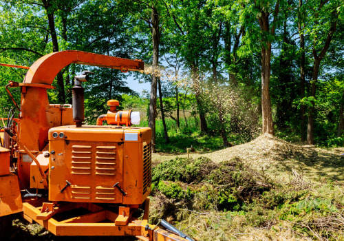 How A Lawn Care Service Provider With Forestry Mulching Expertise Can Transform Your Landscape In Derry?